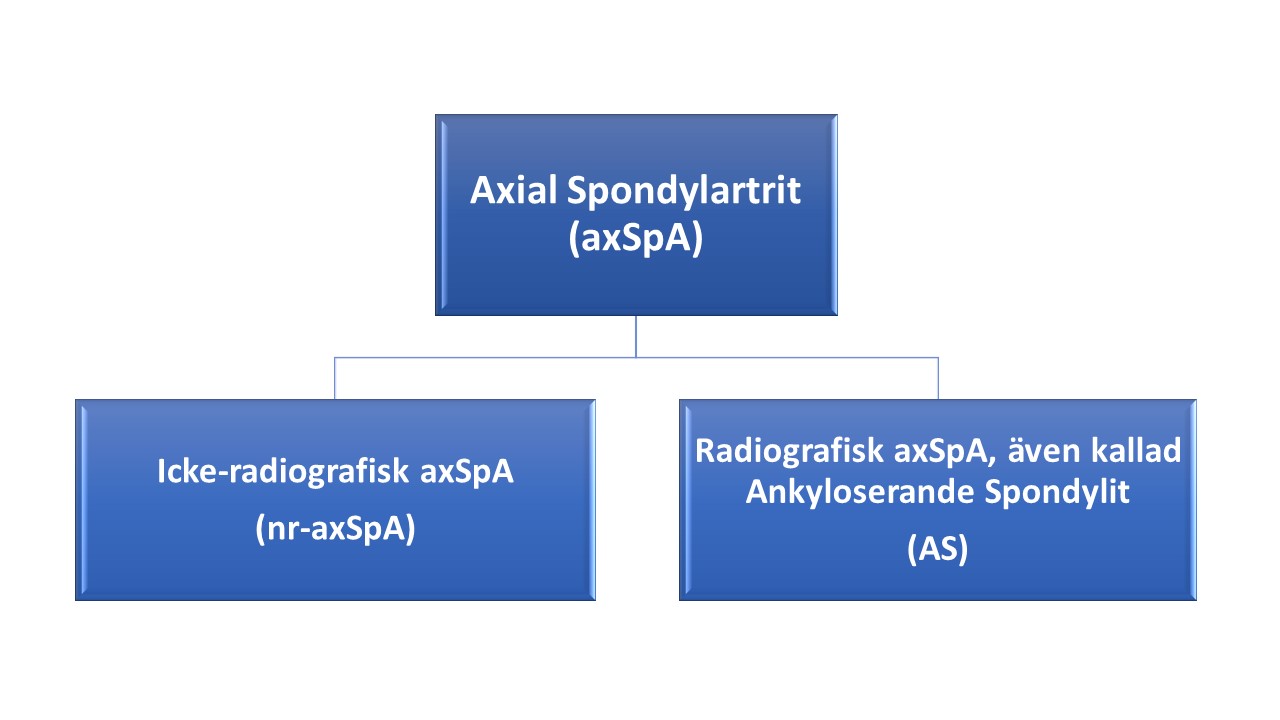Axial Spondylartrit (AxSpA)